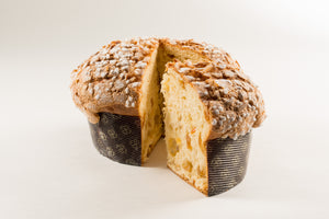 Panettone 500g